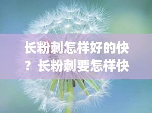 长粉刺怎样好的快？长粉刺要怎样快速消除