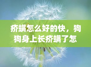 疥螨怎么好的快，狗狗身上长疥螨了怎么治最有效