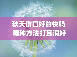 秋天伤口好的快吗 哪种方法打耳洞好的快