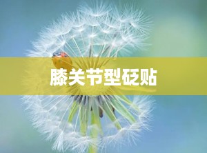 膝关节型砭贴