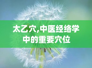 太乙穴,中医经络学中的重要穴位