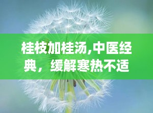 桂枝加桂汤,中医经典，缓解寒热不适的良方