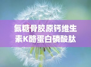 氨糖骨胶原钙维生素K酪蛋白磷酸肽片