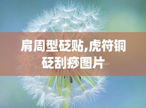 肩周型砭贴,虎符铜砭刮痧图片