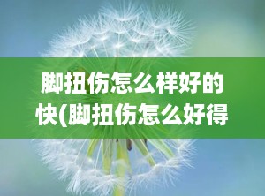 脚扭伤怎么样好的快(脚扭伤怎么好得快)