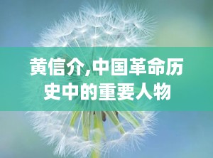 黄信介,中国革命历史中的重要人物