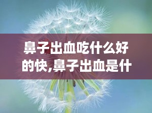 鼻子出血吃什么好的快,鼻子出血是什么病征兆总是一只鼻孔流血