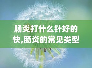 肠炎打什么针好的快,肠炎的常见类型