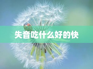 失音吃什么好的快