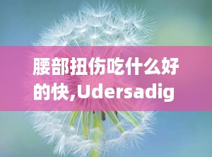 腰部扭伤吃什么好的快,Udersadig Lower Back Sprai