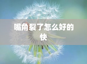 嘴角裂了怎么好的快