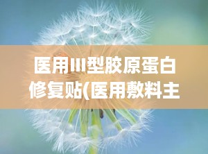 医用Ⅲ型胶原蛋白修复贴(医用敷料主要成分有透明质酸钠与胶原蛋白,这二者有什么区别)