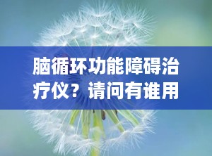 脑循环功能障碍治疗仪？请问有谁用过脑循环脑功能障碍治疗仪治疗精神病有没有效果