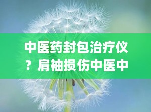 中医药封包治疗仪？肩袖损伤中医中药封包和艾灸哪个好