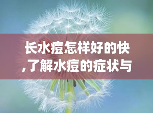 长水痘怎样好的快,了解水痘的症状与传播途径