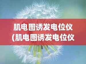 肌电图诱发电位仪(肌电图诱发电位仪的功能有哪些)