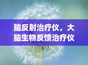 脑反射治疗仪，大脑生物反馈治疗仪治疗一次需要多少钱