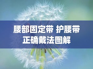 腰部固定带 护腰带正确戴法图解