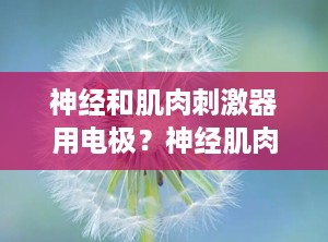 神经和肌肉刺激器用电极？神经肌肉电刺激仪有什么用