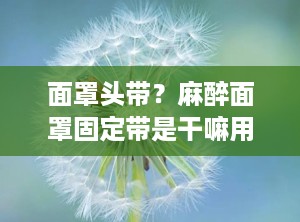 面罩头带？麻醉面罩固定带是干嘛用的