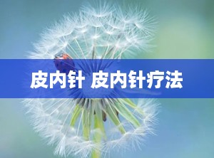 皮内针 皮内针疗法