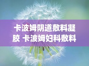 卡波姆阴道敷料凝胶 卡波姆妇科敷料凝胶主治什么