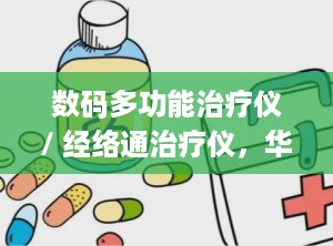 数码多功能治疗仪/ 经络通治疗仪，华洋经脉通数码治疗仪