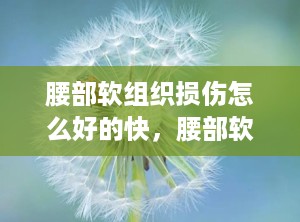 腰部软组织损伤怎么好的快，腰部软组织损伤的治疗方法