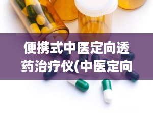 便携式中医定向透药治疗仪(中医定向透药治疗仪wnd-zz-2td)