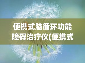 便携式脑循环功能障碍治疗仪(便携式脑循环功能障碍治疗仪的作用)