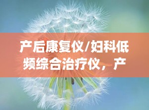 产后康复仪/妇科低频综合治疗仪，产后康复治疗仪使用视频