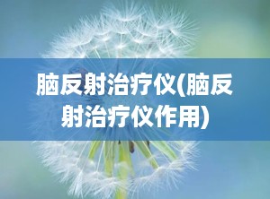 脑反射治疗仪(脑反射治疗仪作用)