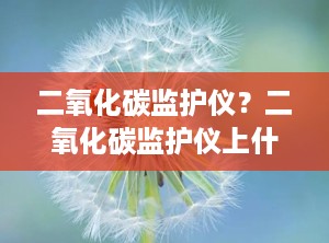 二氧化碳监护仪？二氧化碳监护仪上什么意思