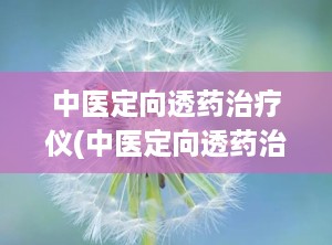 中医定向透药治疗仪(中医定向透药治疗仪厂家)