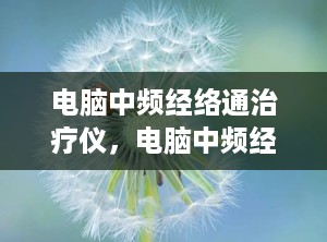 电脑中频经络通治疗仪，电脑中频经络通治疗仪说明书