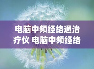 电脑中频经络通治疗仪 电脑中频经络通治疗仪说明书