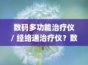 数码多功能治疗仪/ 经络通治疗仪？数码经络治疗仪器