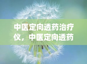 中医定向透药治疗仪，中医定向透药治疗仪厂家