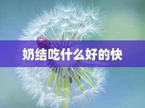 奶结吃什么好的快