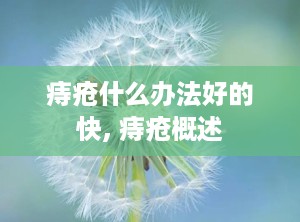 痔疮什么办法好的快, 痔疮概述