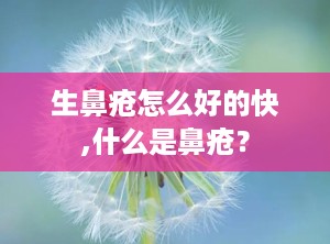 生鼻疮怎么好的快,什么是鼻疮？