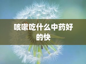 咳嗽吃什么中药好的快