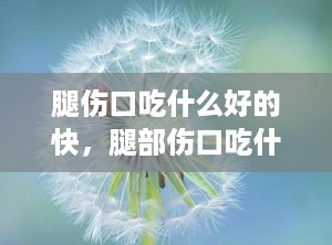 腿伤口吃什么好的快，腿部伤口吃什么恢复快