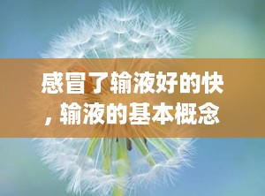 感冒了输液好的快, 输液的基本概念