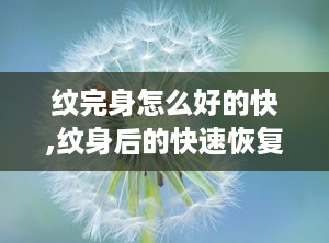 纹完身怎么好的快,纹身后的快速恢复指南