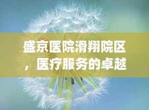 盛京医院滑翔院区，医疗服务的卓越典范（盛京医院滑翔院区电话）