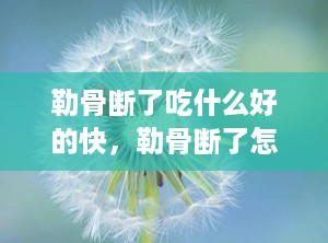 勒骨断了吃什么好的快，勒骨断了怎么调养