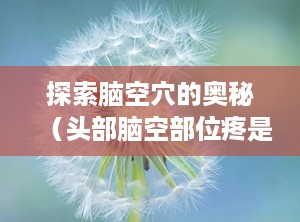 探索脑空穴的奥秘（头部脑空部位疼是什么原因）