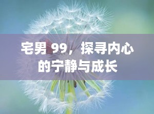 宅男 99，探寻内心的宁静与成长