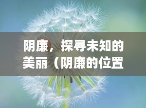 阴廉，探寻未知的美丽（阴廉的位置与作用和功效）